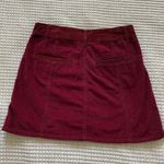 American Eagle Corduroy Skirt Photo 1
