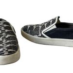 Vince  Banler Snake Embossed Skate Womens Shoes Sz 8M Pull On Sneakers Platform Photo 1