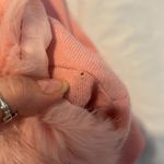 Windsor size small pink cardigan with a faux fur collar rhinestone closure GUC Photo 5