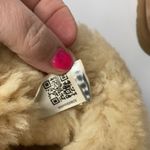 UGG  Australia Bailey button short boots‎ chestnut size 6 Photo 4