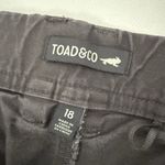 Toad&Co Pants Womens 18 Brown Earthworks Wide Leg Cropped Hiking Outdoors GORP Photo 3