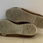 Sebago Women's Felucca Bow Brown, Women's Fashion, Footwear Size undefined Photo 4