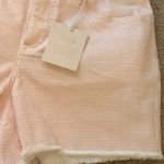 LC Lauren Conrad Women’s Pink&white gingham cutoff shorts Photo 1