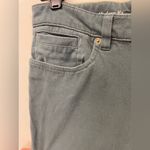 Orvis Womens  Fishing Gray Blue Twill High Rise Straight Ankle Pants SZ 10 Photo 5