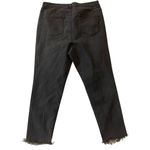 DG2 by Diane Gilman Fringe Hem Jeans Black Size 18W Photo 6