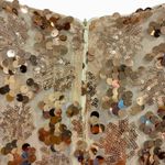 NYE Champagne, Rose Gold Sequin V Photo 6