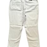 Banana Republic NWT  Factory Light Blue Striped Sloan Curvy Fit Pants Photo 3