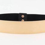 ZARA limited edition stretchable with gold metallic combination belt Photo 2