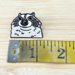Up Close Raccoon Funny Soft Enamel Pin, Trash Panda Pin Gray Photo 3