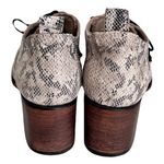 FREEBIRD by Steven Freebird ‘Sadie’ Beige Snakeskin Embossed Leather Heeled Oxfords, Size 8 Photo 6