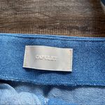 Capulet  Hayley Bustier Tie Strap Crop Top Size XS Photo 9