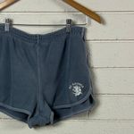 Brandy Melville  John Galt Blue St.
George Shorts one size Photo 6