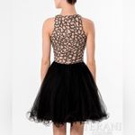 Terani Couture  beaded dress Photo 1