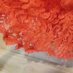 Eliza J {6} NWT Coral Lace Bell Sleeve Dress Photo 5