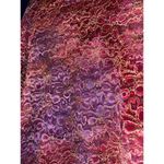 Vintage Y2K Avenue Lace Fairy Top Women's Size 18/20 Whimsical Floral Coquette Pink Size L Photo 7