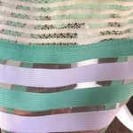 Alya Mint Green Striped Skirt Photo 2