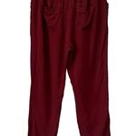 Anthropologie DOLAN LEFT COAST Northwestern Joggers Paperbag Pants, Sz M Size M Photo 4