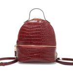 Steve Madden Mini Backpack Photo 0