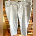 Talbots Light Gray Boyfriend Jeans Photo 0