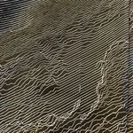 Noli  Women’s Black With White Lines Leggings Photo 1