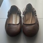 A New Day  Brown Flats Photo 0