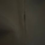 Gap Size 12 Black Classic Dress Pants Photo 4