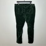 J. Jill Green Velvet Pants Size 18 Photo 1