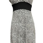 F.L.P. Faith Love Passion Leopard Animal Print Pull on Dress Size S Twist Strap Gray Photo 0