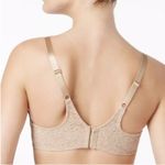 Wacoal  65547 Halo lace full figure bra in tan nude 36C Photo 5