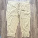 Athleta  Women's Tan Joggers Trekkie North Pant with Zip 26 Photo 2