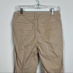 Sundry  Tan Stripe Bootcut Pants Photo 4