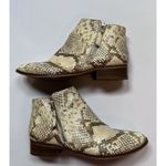 ALDO  Ankle Boots Womens Size 8 Snakeskin Leather #I1 Photo 1
