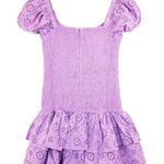 Likely  NEW Tayaisha Smocked Cotton Eyelet Violet Mini Dress Sz 8 Photo 10