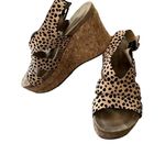 Pierre Dumas  cheetah print Kork wedges Photo 1