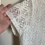 Market & Spruce 🌞 New Off White Ivory Lace Lined Short Sleeve Blouse #P Photo 5