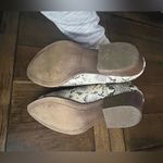 CL by Laundry  8 Photo 4