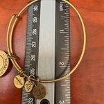 ALEX AND ANI Alex‎ and Ani Fleur De Lis Charm Bangle Bracelet, US Flag, Energy Tech Photo 6