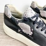 Ash Fool Snake Print Platform Sneakers Photo 4