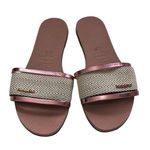 Havaianas Trancoso Slides Women’s Size 11-12 Beige Bronze Chevron Strap Photo 0