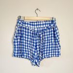 Jane and Delancey SALE! Blue Gingham Stretch Shorts Size L EUC Photo 1
