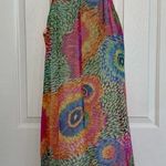 Alexandra Rosati Dress Tie Photo 6