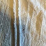 Champion  UGA T-Shirt Cropped Photo 2