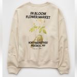 American Eagle AE Relaxed Fit Destination Graphic
Sweatshirt Photo 2
