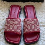 Coach NWT
Florence "C" Logo Lug-Sole Slide-On
Sandals Photo 0