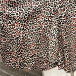 ZARA NWT  Sz S Fantastic Leopard Print Longer Length Skirt Photo 1