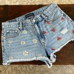 Aeropostale Aeropostle Daisy/Watermelon Vintage Highrise Shorty Cutoffs Size 10 Photo 0