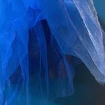 Blue 3 Layered Tutu skirt Size undefined Photo 4