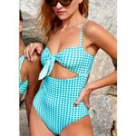 Anthropologie New. WET brand gingham swimsuit. Large. Retails $168 Photo 1