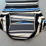 R&K Midi Dress Plus Size 1X Womens Striped Blue Black Boat Neck Dolman Sleeve Photo 4