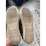 Steve Madden  women's‎ cheetah booty size 7Claud leopard bootie Photo 3